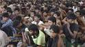 Indians mobilise to save ancient forests - Al Jazeera English