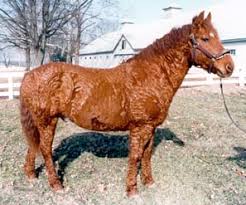 images?q=tbn:ANd9GcT0u2j3Xk-vr9jd0M101ashuhIBfmkYYJ6BhwGQTIuinT3MBWDl