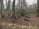 near to Walter's Ash, - via Daymix