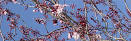 My eyes, nose and sinuses also - via Daymix