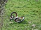 The bike is fine, the sheep is in intensive care. - via Daymix
