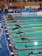 Freestyle swimming - Wikipedia, the free encyclopedia