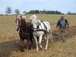 File:Farmer plowing.jpg - Wikipedia, the free encyclopedia
