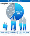 60% of the human body is made up of liquid. - What's Pocari Sweat?