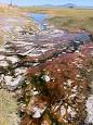 Alvord Hot Springs - Wikipedia, the free encyclopedia