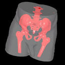 3D-DOCTOR, medical modeling, 3D medical imaging