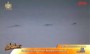 images?q=tbn:ANd9GcT2eWFxNRkk44hNDBQegV6ojPOxWWvZn1MfnQNyv-kIGRBPF27k
