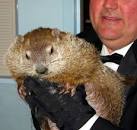 ground hog. Punxsy Phil says