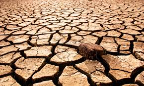 The Longest Drought in Miss Universe that not yet been ended Images?q=tbn:ANd9GcT2uj3_tAA7wmKxSHDYg_Ulyt4tgRagoVluhXoSI0lL8SNXPjmw3g