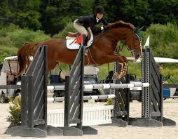 Lisa Zimmer and Kaniny H Fly to Victory in Vermont - Lisa%20Zimmer%20and%20Kaniny%20H%20by%20David%20Mullinix