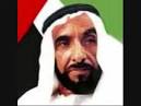 Sheikh zayed bin sultan al