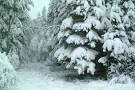 SNOW Scene pictures, free use image, 16-08-25 by FreeFoto.