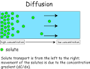cellspd5spering - Diffusion
