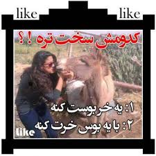 بدو بدو بدو بیاداخل 1