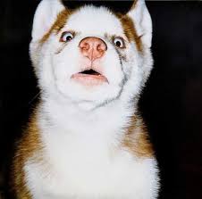 images?q=tbn:ANd9GcT3T5DRDbV-GgPdpngQxiZ3KUfCpwojPoCxJKyI3u46p0kkCO9H