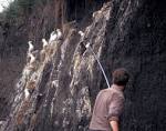 Man trying to catch birds with telescope net royalty free stock picture - via Daymix