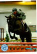 Dorsch Farms Quality Show Horses warmbloods Registered Bloodlines