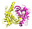 Guanylate cyclase - Wikipedia, the free encyclopedia