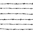 barbed-wire-vector.png picture by CHANEYII - Photobucket