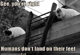 images?q=tbn:ANd9GcT3vJugqhRjEEezxhBgofxvLBJFMP7sUbRVkclLs5W-WDA--hpM