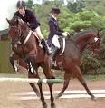 Alabama Horse Shows | Alabama Horse Shows