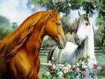 More horse wallpapers! - Horses Wallpaper (15705283) - Fanpop fanclubs