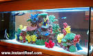 90 Gallon Marine Fish Tank with Live Rock &amp; Fake Coral Reef