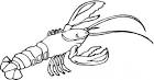 Lobster coloring page