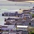 http://www.gaycities.com//images/featured/metros/Provincetown,%2520Cape%2520Cod,%2520Massachusetts,%25201991%2520by%2520PhillipC.jpg
