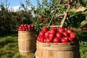 The Dating Game: 5 Fun Fall Date Ideas | LaurenConrad.