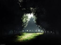 http://t2.gstatic.com/images?q=tbn:ANd9GcT4qGndP1BHLwf74527qL2cOM7PpPJtyAdw3Lw6eeiK0fU_W9VR