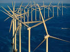 The Living Ocean: Marine Life Flourishing Beneath Off-Shore Wind ...