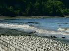 Protect Our Shoreline