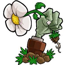 http://t2.gstatic.com/images?q=tbn:ANd9GcT5EcIU5HdH5abxOS2vE2IX2wwyXl8FiztVCNpFz2nrmPfzRP2XYg