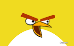 Angry Birds yellow 1920x1200 Wallpapers 1920x1200 Wallpapers