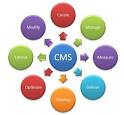 Content Management Solutions & Services, CMS solution Tampa Florida