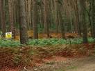 within footpaths and don't - via Daymix
