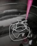 TUD, chair Cuniberti "materials science and nanotechnology ...