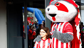 이게 라쿤이라니! - AT 마드릿 마스코트