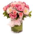 Prices includes delivery & GST