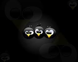 http://t2.gstatic.com/images?q=tbn:ANd9GcT5vOSfJ9TtXfXASW_5DCnD-jWq3NEgNgdBeTFr9P0TRNy0kvA1