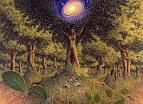 Animism: A Spirit-Worker's Musings | Wandering Woman Wondering