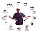 veganix pest management - pests identification