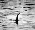 Skipper claims to have finally found proof that LOCH NESS MONSTER.