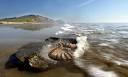 An expert's and readers' tips: best beaches for fossil hunting in ...