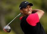 Why the amount paid to TIGER WOODS by Hero MotoCorp seems exorbitant