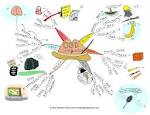 Odd combinations | Mind Map Inspiration