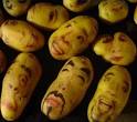 ARTE COM BATATAS