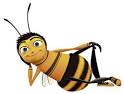Positive Focus – Living Life Fulfilled » Bee Kind