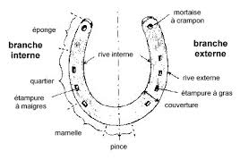http://t2.gstatic.com/images?q=tbn:ANd9GcT7AHcuTbOW3JQGQ3EZFdJ0YWMuDBlRiCfyD3d0XCy8u5fMgqZ1So6rXWHG